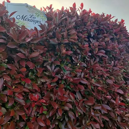 Σπίτι διακοπών Spacieux A 8 Km De La