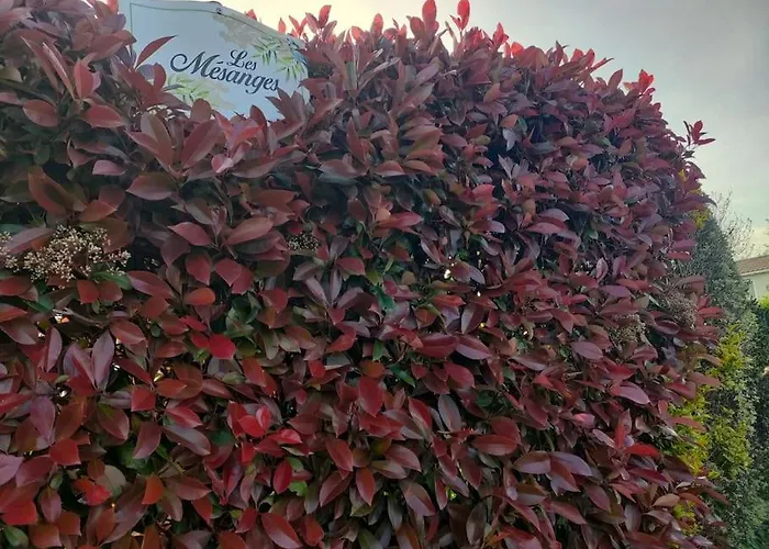 Dom wakacyjny Spacieux A 8 Km De La